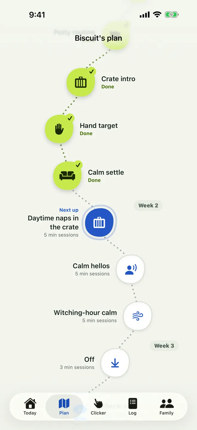 Biscuit's plan: crate intro, hand target and calm settle done, daytime naps in the crate up next in week 2.